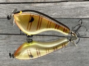 Black Label Balsa - Tease - Custom Balsa Topwater Prop Bait - Bull Bream Color
