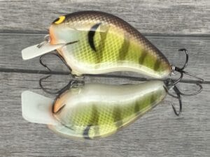 Black Label Balsa - CBS 2 - Custom Balsa Squarebill Crankbait - Bold Bluegill Color- Bagley B2