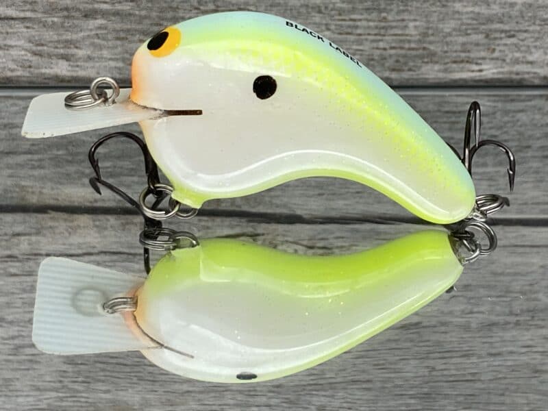 Black Label Balsa - Potbelly - Hybrid Squarebill Crankbait - Citrus Shad Pearl Color