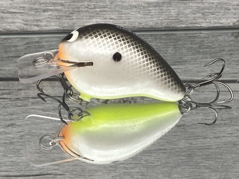 Black Label Balsa - Wreck - Balsa Squarebill - Hot Shad Color - Zoom WEC E-1
