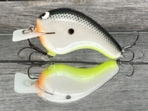 Black Label Balsa - Potbelly - Hybrid Squarebill Crankbait - Hot Shad Color