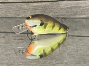 Black Label Balsa - BL 1.5 - Balsa Squarebill - Bold Bluegill Color