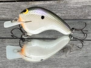 Black Label Balsa - Potbelly - Hybrid Squarebill Crankbait - Gizzard Shad Pearl Color
