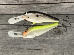 Black Label Balsa - SS Shad - Custom Balsa Crankbait - Hot Shad Color
