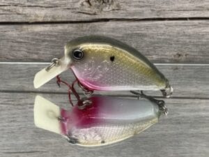 The Lure Forge - 2.2 Wobbler Squarebill Crankbait - Bleeding Gizzard Shad Color