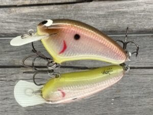 Black Label Balsa - Hickster - Signature Series Crankbait - Foiled Tomato Shad Color