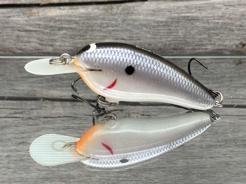 Black Label Balsa - Little Cliffie - Custom Balsa Crankbait - Electric Shad Color