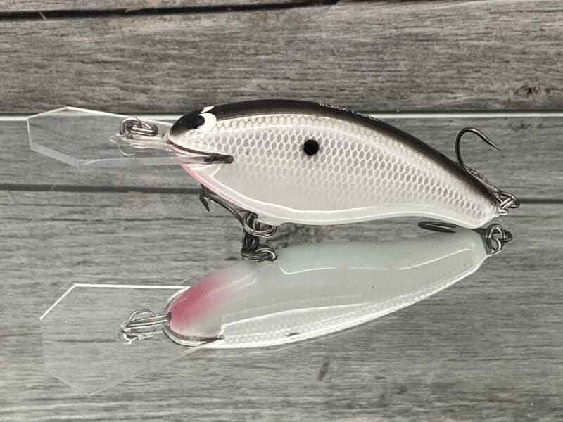 Black Label Balsa - Tapout - Custom Balsa Crankbait - Anchovy Color