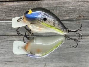 Black Label Balsa - CBS 1 - Balsa Squarebill Crankbait - Magic Shad Color - Bagley B1