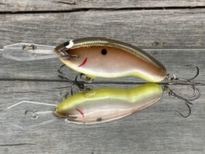 Black Label Balsa - Tapout Jr - Custom Balsa Crankbait - Tomato Shad Color