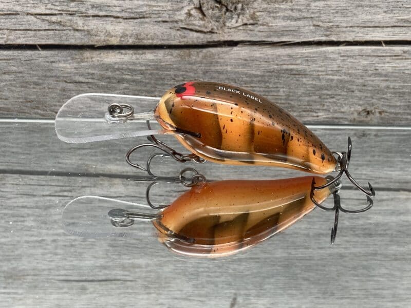 Black Label Balsa - Rock Hound - Custom Balsa Crankbait - Fall Craw Color