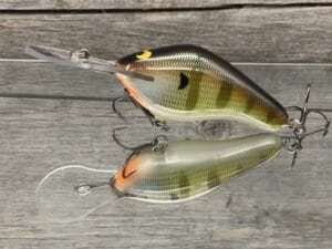 Black Label Balsa - 300 Proof - Custom Balsa Crankbait - Bold Bluegill Color