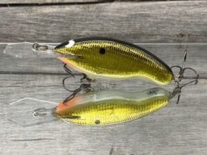 Black Label Balsa - Tapout Jr - Signature Series Custom Balsa Crankbait - Gold Foil Black Back Color