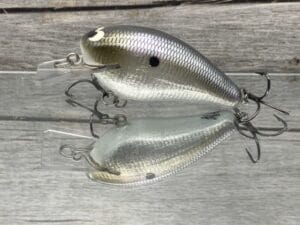 Black Label Balsa - BL 1.5 - Signature Series - Foiled American Shad Color