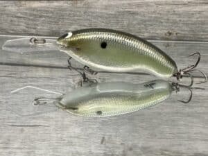 Black Label Balsa - Tapout Jr - Signature Series Custom Balsa Crankbait - Foiled Money Shad Color