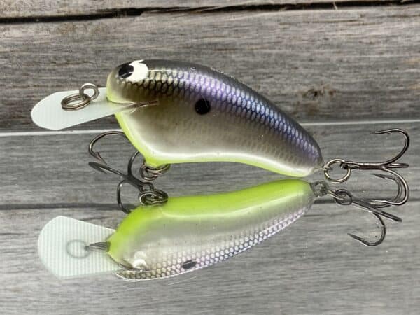 Black Label Balsa - Hickster - Balsa Crankbait - American Shad Chartreuse Belly - Zoom WEC Hicky