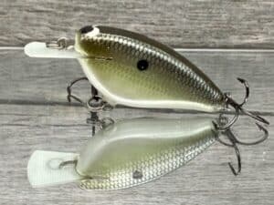Black Label Balsa - Bacon - Balsa Crankbait - Money Shad Color