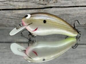 Black Label Balsa - Turbo - Custom Balsa Crankbait - Cliff's Secret Color