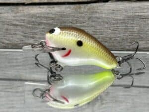 Black Label Balsa - Runt- Custom Balsa Crankbait - Cliff's Secret Color