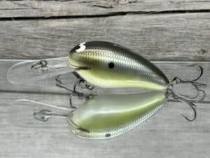 Black Label Balsa - Rock Hound - Custom Balsa Crankbait - Money Shad Color