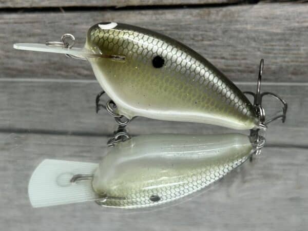 Black Label Balsa - Bacon MR - Balsa Crankbait - Money Shad Color