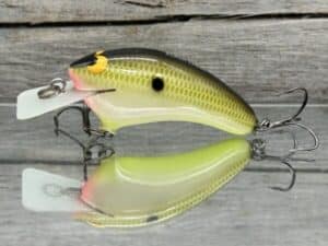 Black Label Balsa - Speedy - Hybrid Squarebill Crankbait - Bone Shad Color