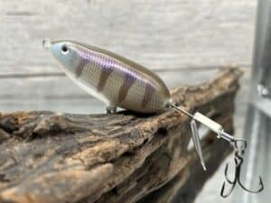 Black Label Balsa - Battle Toad - Custom Balsa Topwater Plopper - JB's Gill Color