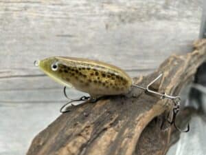 Black Label Balsa - Battle Toad - Custom Balsa Topwater Plopper - Bone Belly Bullfrog Color