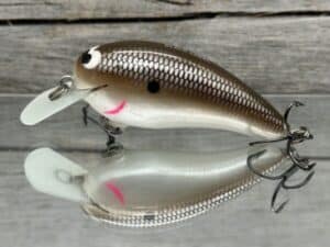 Black Label Balsa - Turbo - Custom Balsa Crankbait - Green Pumpkin Shad Color