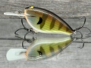 Black Label Balsa - Bacon MR - Balsa Crankbait - Bold Bluegill Color