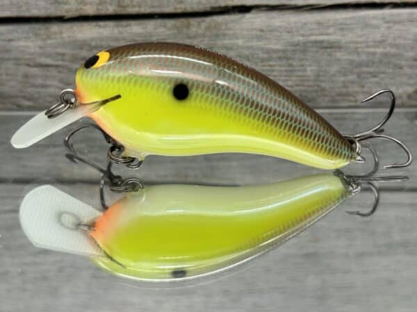 Black Label Balsa - Turbo - Custom Balsa Crankbait - River Bream Color