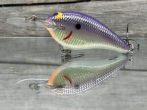 Black Label Balsa - Shiver 7 Signature Series - Custom Balsa Crankbait - Foiled Table Rock Shad Color