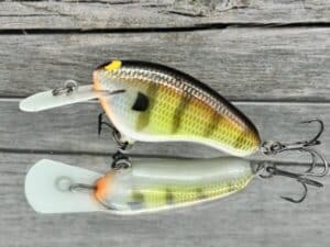 Black Label Balsa - Hickster MR- Balsa Crankbait - Bold Bluegill Color