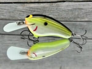 Black Label Balsa - Hickster MR- Balsa Crankbait - Plemmons Color