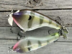 Black Label Balsa - Tease Signature Series - Custom Balsa Topwater Prop - Foiled Cliff's Secret Gill Color