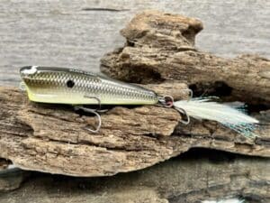 Black Label Balsa - Pop-N-Bob - Custom Balsa Popper - Bone Shiner Color