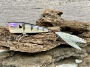 Black Label Balsa - Pop-N-Bob - Custom Balsa Popper - Bone Gill Color