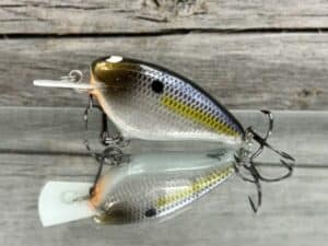 Black Label Balsa - Bacon-Signature Series - Balsa Crankbait - Foiled Threadfin Shad Color