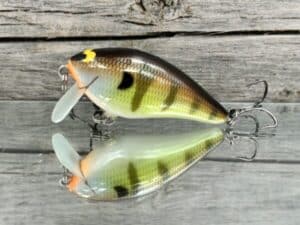 Black Label Balsa - BL 1.5 SSR - Balsa - Bold Bluegill Color