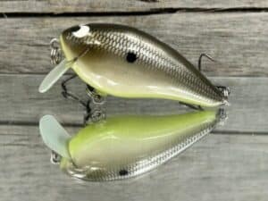 Black Label Balsa - BL 1.5 SSR - Balsa - Bone Shiner Color