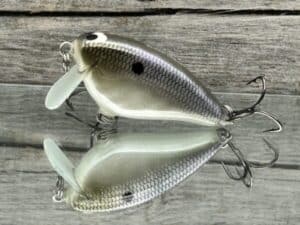 Black Label Balsa - Bacon SSR - Balsa Crankbait - American Shad Color
