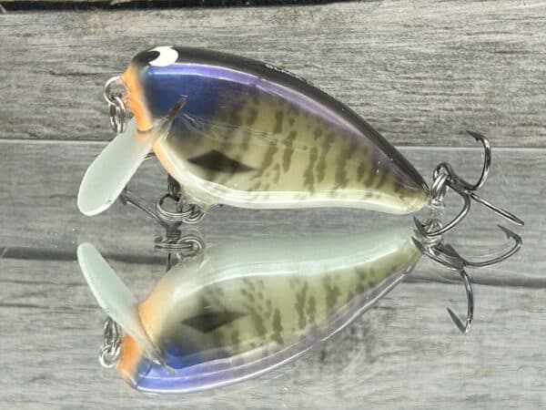 Black Label Balsa - Bacon SSR - Balsa Crankbait - Money Gill Color