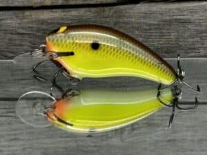 Black Label Balsa - Cricket - Custom Balsa Crankbait - River Bream color