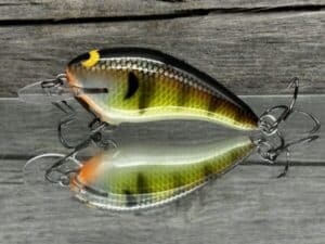 Black Label Balsa - Cricket - Custom Balsa Crankbait - Bold Bluegill color