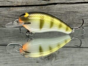 Black Label Balsa - Cricket - Custom Balsa Crankbait - Faded Perch color