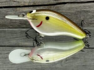 Black Label Balsa - Fat Flat - Custom Balsa Crankbait - Cliff's Secret color