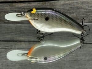 Black Label Balsa - Fat Flat - Custom Balsa Crankbait - Gizzard Shad Pearl color