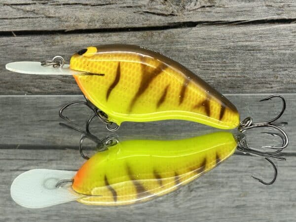Black Label Balsa - Fat Flat - Custom Balsa Crankbait - Spring Tiger color