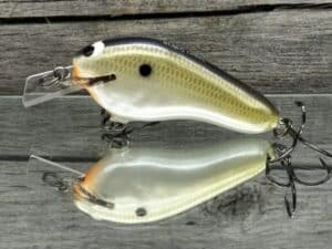 Black Label Balsa - Prowler Flat - Custom Balsa Squarebill Crankbait - Smash color