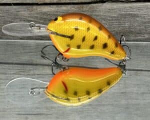 Black Label Balsa - Wreck Deep - Custom Balsa Crankbait - DC9 color